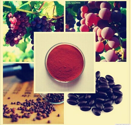 grape seed extract