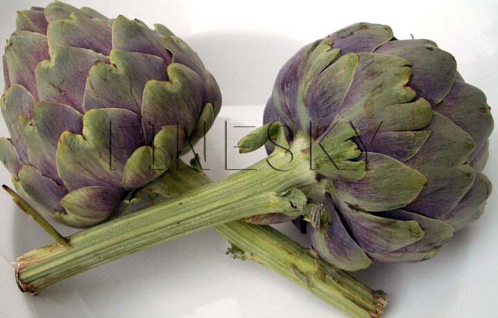 Artichoke extract