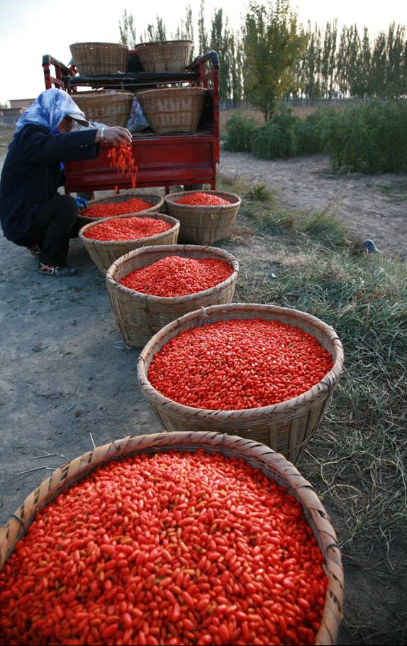 goji